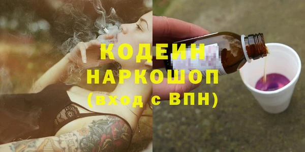 сатива Бородино