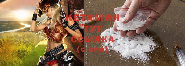 сатива Бородино