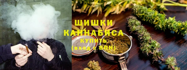 гашик Семилуки