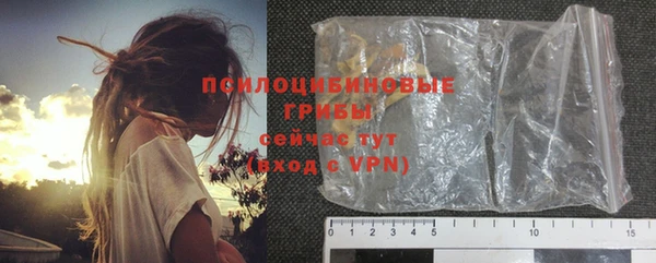сатива Бородино