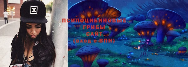 гидра Бугульма