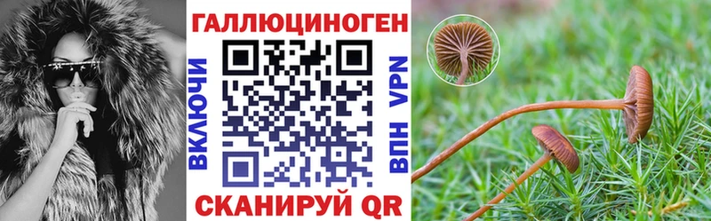 где найти   Кирово-Чепецк  MEGA ССЫЛКА  Псилоцибиновые грибы мицелий 